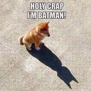 Meet your Posher, Robin